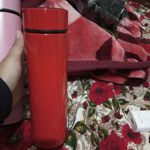 500 ML Water Temperature Bottle